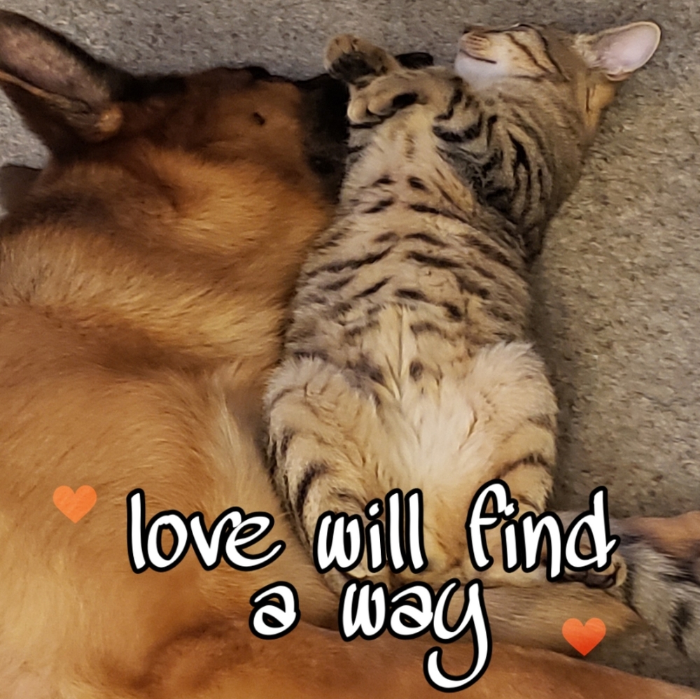 Share here! ❤ chat here! - Picture 3 of 15